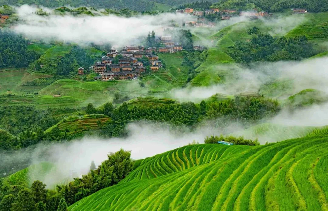 龙脊梯田